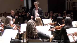 Schumann Symphony 4 in D minor  mov I [upl. by Meeker]