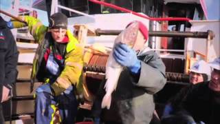 River Cottage  Hugh FearnleyWhittingstall  Fish Fight  Witnessing discard in the North Sea [upl. by Yared711]