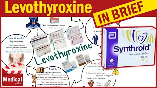 Levothyroxine  Synthroid  What is Levothyroxine Used For Dosage Side Effects amp Precautions [upl. by Hiro357]