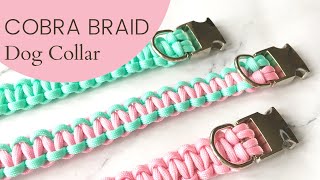 Cobra Braid Dog Collar  Full StepbyStep Tutorial [upl. by Hansen548]