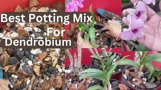 How To Repotting Dendrobium Orchid  Best Potting Mix Fertilizing and All Care in Nepali [upl. by Crichton]