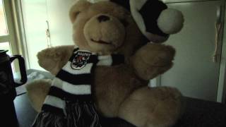 Collingwood theme song AFL Singing Teddy Bear mapgies [upl. by Xineohp]