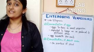 Enterobius Vermicularis morphology Life cycle in hindi Pathogenesis in hindi Lab diagnosis [upl. by Starla202]