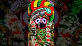 Jai jagannath 🙏🏻 love srikshetra [upl. by Geddes]