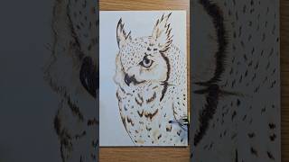 Wood burning owl pyrographyart shorts woodburning subscribemychannel creativeideas [upl. by Enaile]