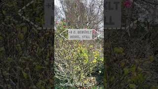 Wetter in Norden 07 11 2024 naturevideo nordseegefuehl wetter [upl. by Aislehc]