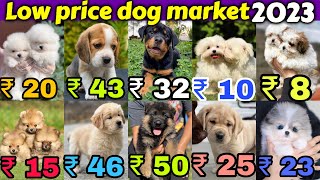 ₹10 ₹20 ₹50 Cheapest Dog Market in India 🐶 Free Home Delivery 🏡🚚 LabGsdPomRotthuskypug [upl. by Eila]