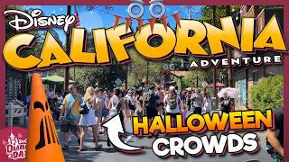 How CROWDED is Disney California Adventure for Halloween 2024 [upl. by Glavin198]