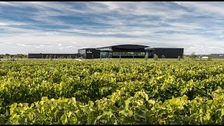 Hennessy  Inauguration de Pont Neuf [upl. by Leventhal789]