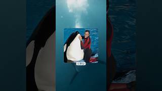 Killer whale that unalived a female trainer in seaworld orlando orca truestory wildanimals [upl. by Conyers]