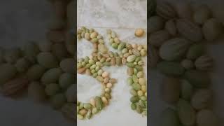 🌺 Using Cucumis pubescens Kachri making 🌺Om🌺art shorts love [upl. by Ayotyal]