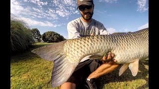 Fishing for GIANT GRASS CARP with DOG FOOD as BAIT [upl. by Leuqim686]