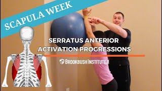 Serratus Anterior Activation Exercise Progressions [upl. by Deeann]