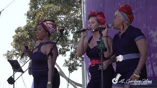 Gator By The Bay Music Festival Featuring Sue Palmer and the Rhythm Riveters [upl. by Naggem656]