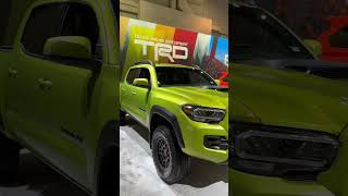 Is Toyota Tacoma amp Electric Lime a Good Fit shorts [upl. by Candless]