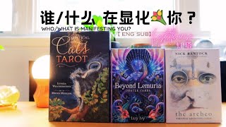 塔罗tarot占卜｜ Pick a card reading  谁什么 在显化💐你？Whowhat is manifesting you [upl. by Glynias]