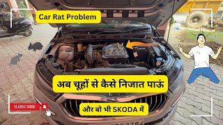 Car Rat Protection II चूहों से कैसे छुटकारा पाँय II Car Rat Problem rat car skoda [upl. by Kcire]