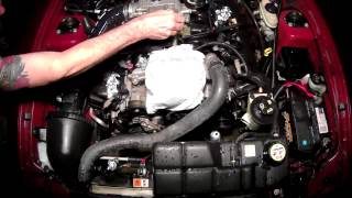 Engine Bay Cleaning 2004 Mustang GT [upl. by Anicart833]