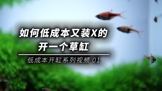 如何低成本又装13的开一个水草缸  低成本开缸系列视频 01 [upl. by Assilav462]