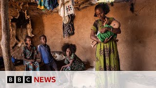 Ethiopia Satellite images and doctor testimony reveal hunger crisis  BBC News [upl. by Nilad49]