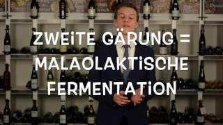 Zweite Gärung  Wein schmeckt gut [upl. by Asaeret]