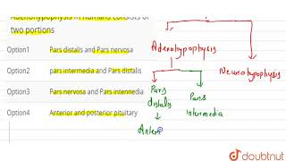 Adenohypophysis in humans consists of two portions [upl. by Hauge]