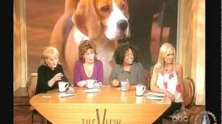 Uno the Beagle at The View [upl. by Chaney]