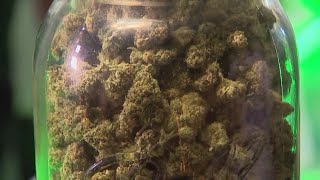 New marijuana laws now in effect  What to know [upl. by Erdnua676]