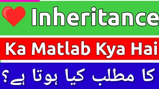 Inheritance Meaning In Urdu  Inheritance Meaning  Inheritance Ka Matlab Kya Hota Hai  Inheritance [upl. by Jany]