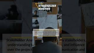 Stakeholder Analysis [upl. by Linker]