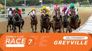 20241113 Hollywoodbets Greyville Race 7 won by CONNERY [upl. by Anomas]