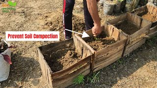 How do you prevent soil from becoming compacted in containers [upl. by Hajan663]