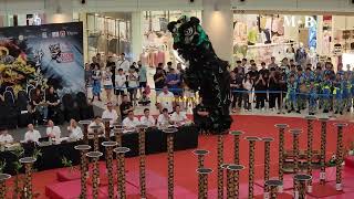 2024 Malaysia National Championship  Central  德胜龙狮体育会 Teck Seng Dragon amp Lion Dance [upl. by Inor]