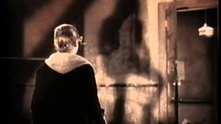 Jane Siberry  It Cant Rain All The Time Official Music Video The Crow [upl. by Lauber]