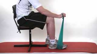 Physiotherapy video  Wrist strengthening exercises [upl. by Reamonn]