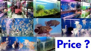 Fish Shop Fish Price Naaz Aquarium Kurla [upl. by Rednasela]