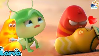 LARVA Season 2 Episode 07  98  Best Cartoons  Comics  Hilarious Cartoon Compilation [upl. by Arlie]