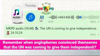 Remember when anglophones convinced themselves that the UN was coming to give them independenG [upl. by Winni]