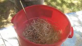 Wheat threshing with a drill [upl. by Dionis]