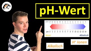 pHWERT Säuren amp Basen  Chemie Tutorial [upl. by Akenet968]