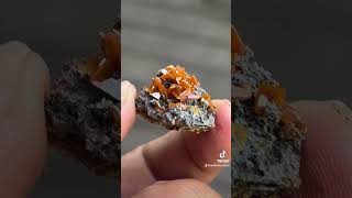 Red wulfenite from China mineral crystals minerals gemstone [upl. by Kimbra]