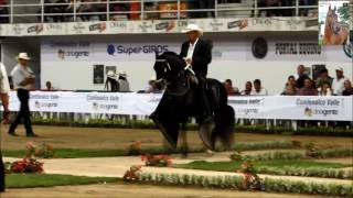 GRAN CAMPEONATO TROTE Y GALOPE YEGUAS EXPOSICION EQUINA GRADO A TULUA 2017 [upl. by Deloris]