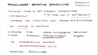 PENICILLINASE SENSITIVE PENICILLINS [upl. by Rowe]