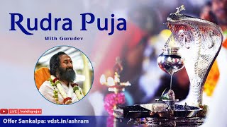 Rudra Puja  18 Nov 2024  Live From VDS Bangalore Ashram [upl. by Franek833]