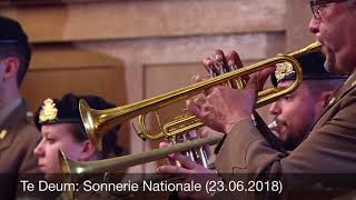 Te Deum Sonnerie Nationale 23062018 [upl. by Auqenat]