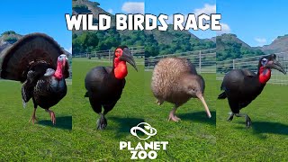 Abyssinian and Southern Ground Hornbill Wild Turkey Takahe Kiwi  Planet Zoo Bird Race [upl. by Earehc]