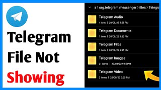 Fix Telegram Files Not Showing In File Manager [upl. by Anallise378]