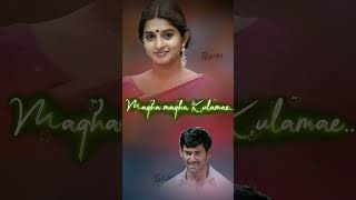 Thavani Pootta🪄 Songs 💞Sandakozhi Movie💥 Vishal💫 Meera Jasmine💯 lovestatus tamilsongs lovesong [upl. by Alikee]