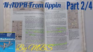 Lippincott chap 13  NADPH uses  part 2 of 4 [upl. by Greenes836]