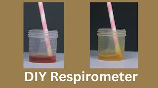 DIY Respirometer  ThinkTac  DIY Science [upl. by Nadnarb]